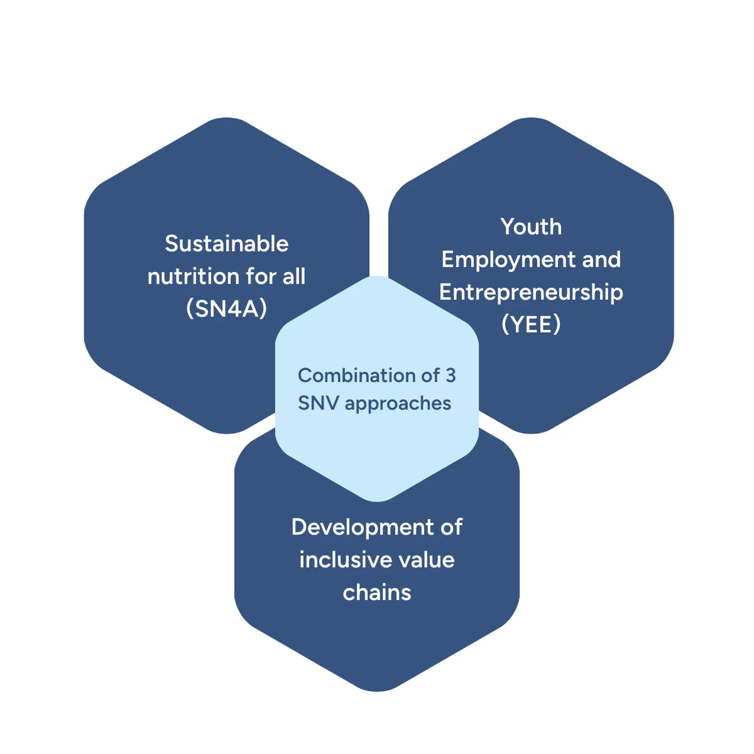 Three connected hexagons: "Sustainable nutrition for all," "Youth Employment and Entrepreneurship," "Development of inclusive value chains."