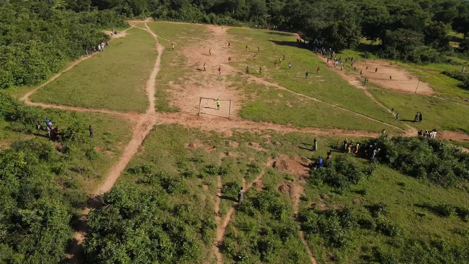 Forest sustainability