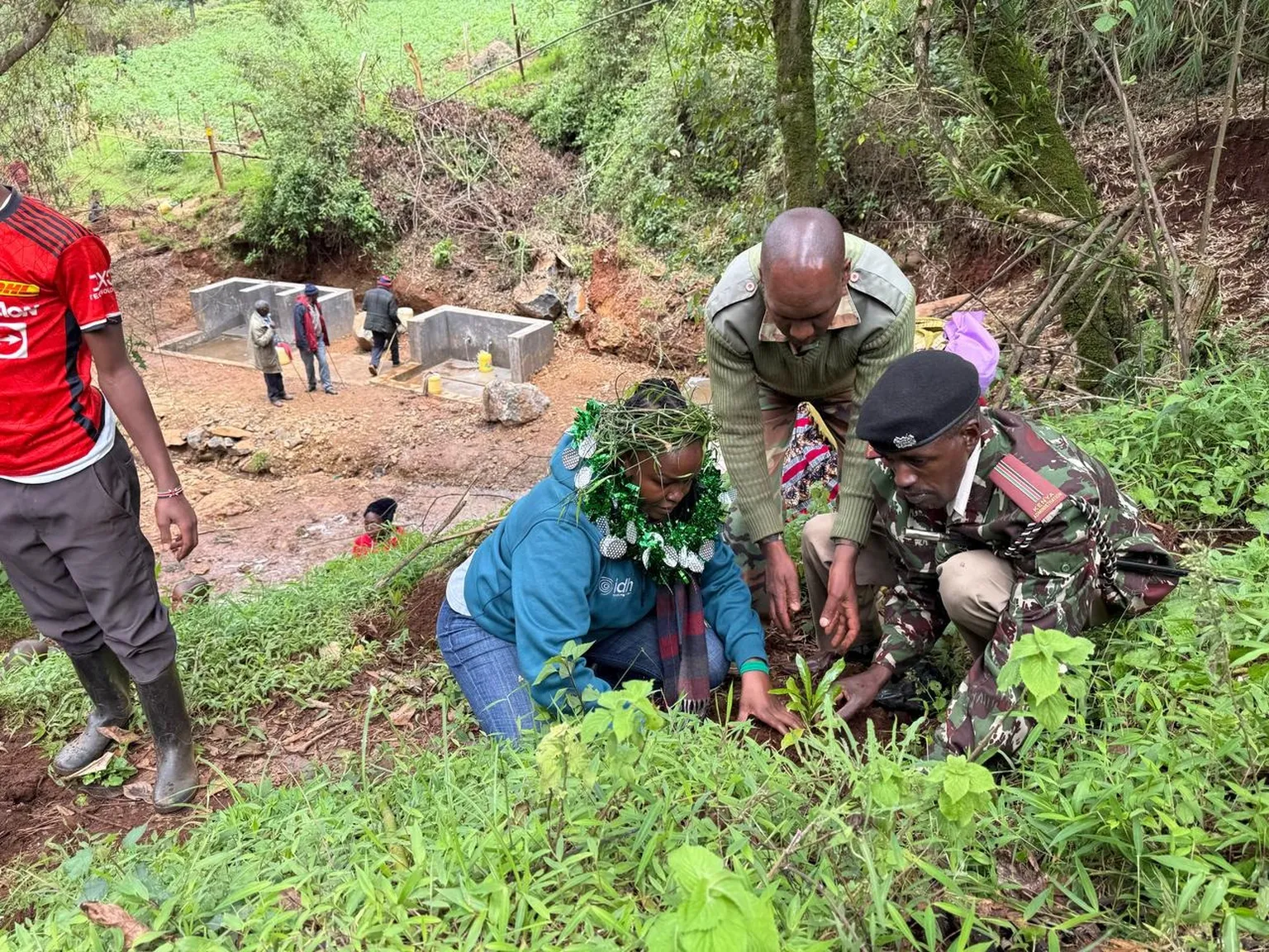 Green infrastructure - tree planting