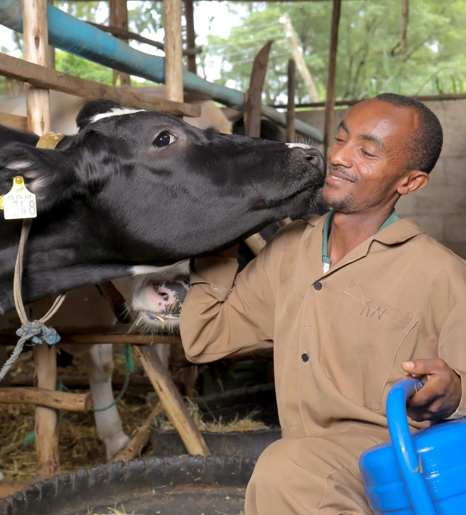 dairy farmer in Ethiopia