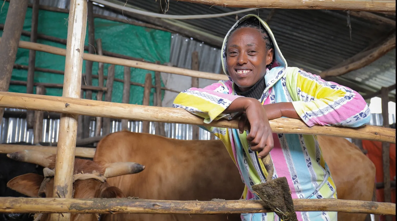 dairy farmer in Ethiopia