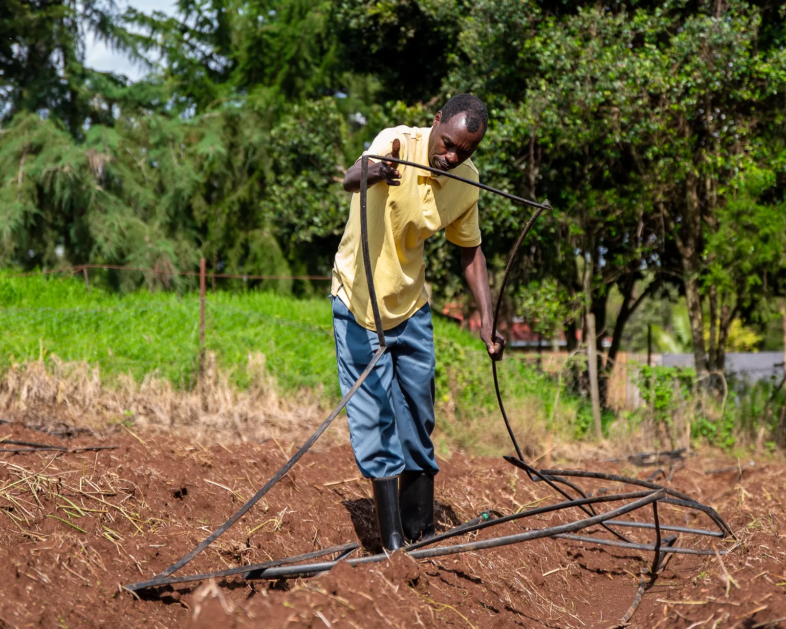 Farmer in Kenya on using drip irrigation