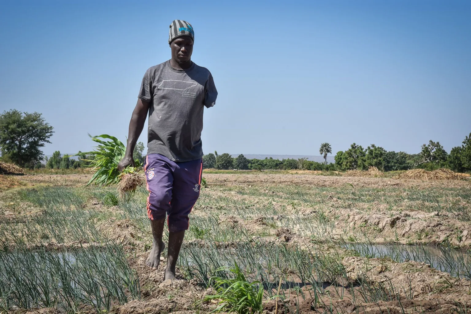 A young farmer in Mali