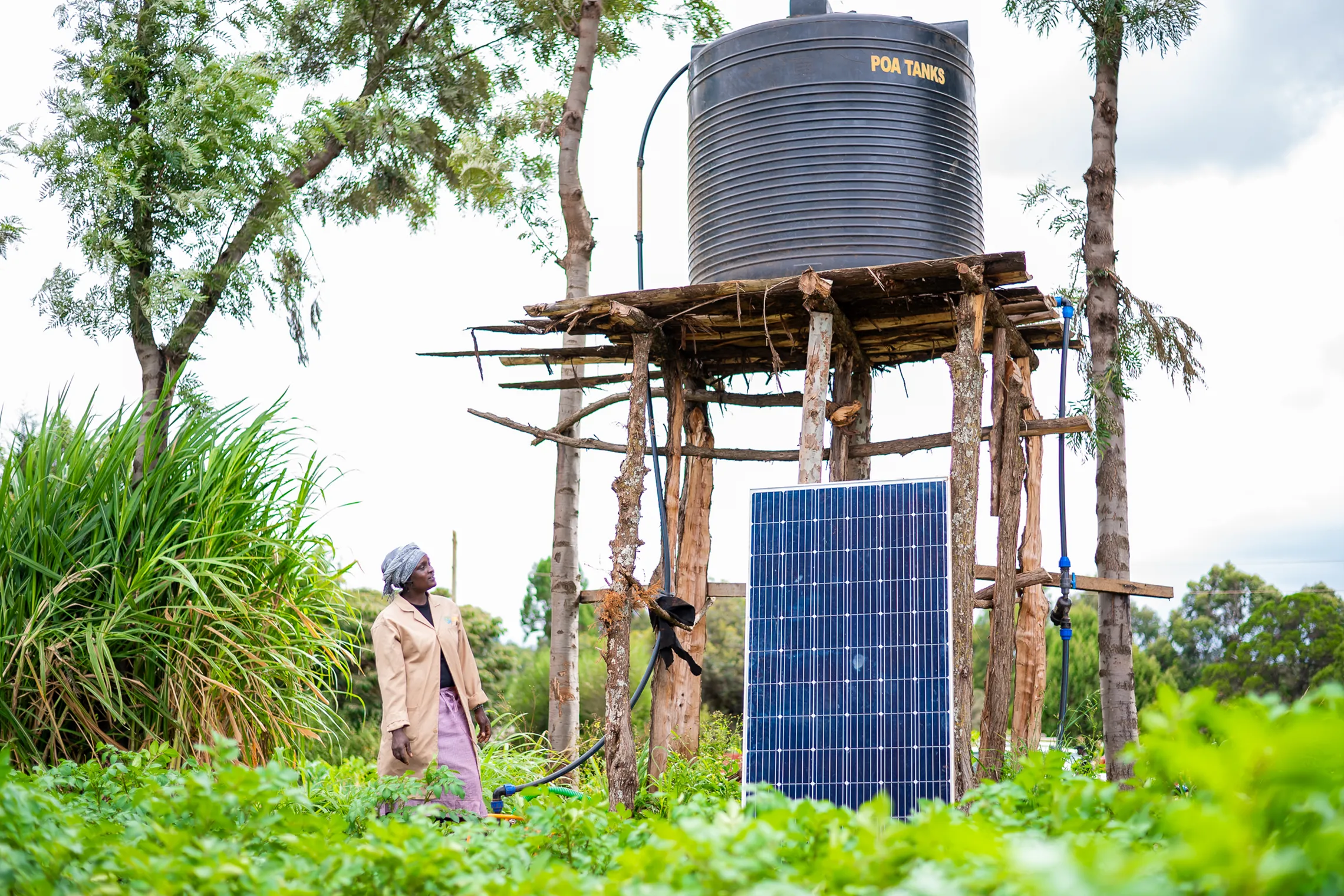 A farmer using solar energy