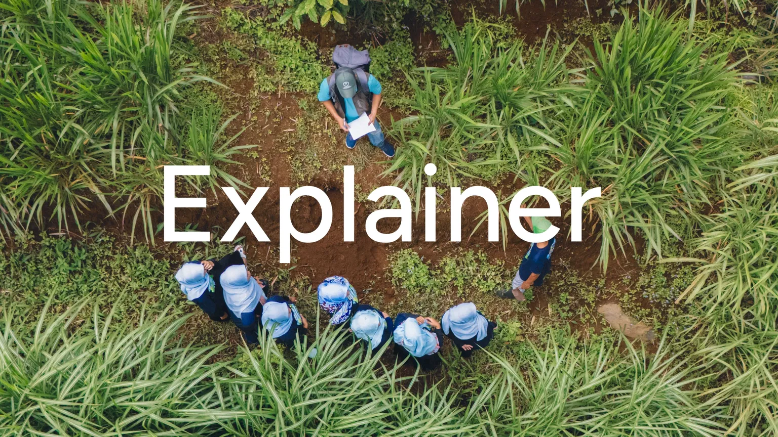 Explainer: Watersheds and the PAHALA initiative