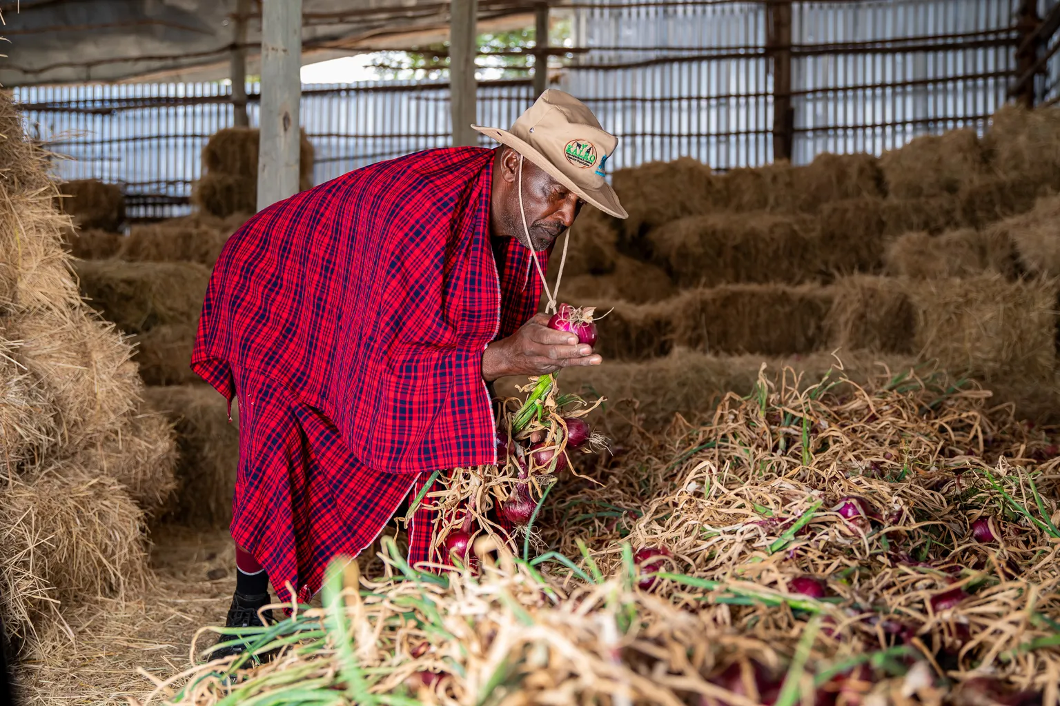 Farmer in his barn