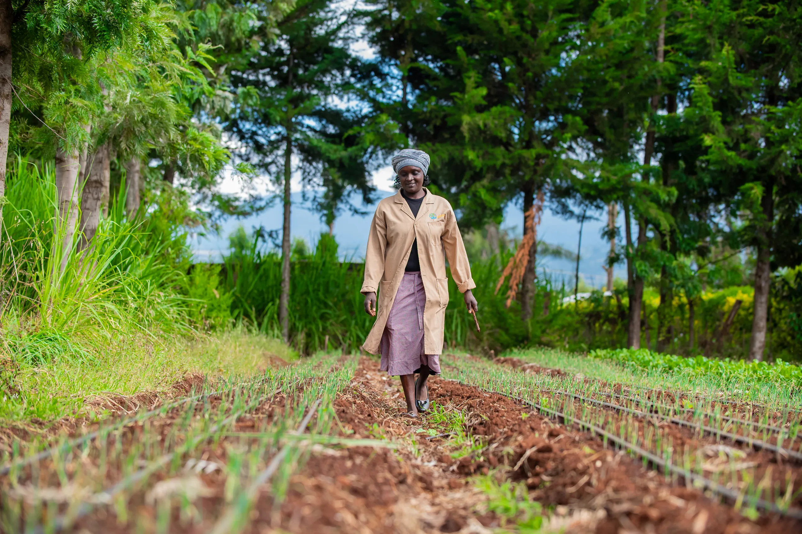 Solar powered irrigation in Kenya