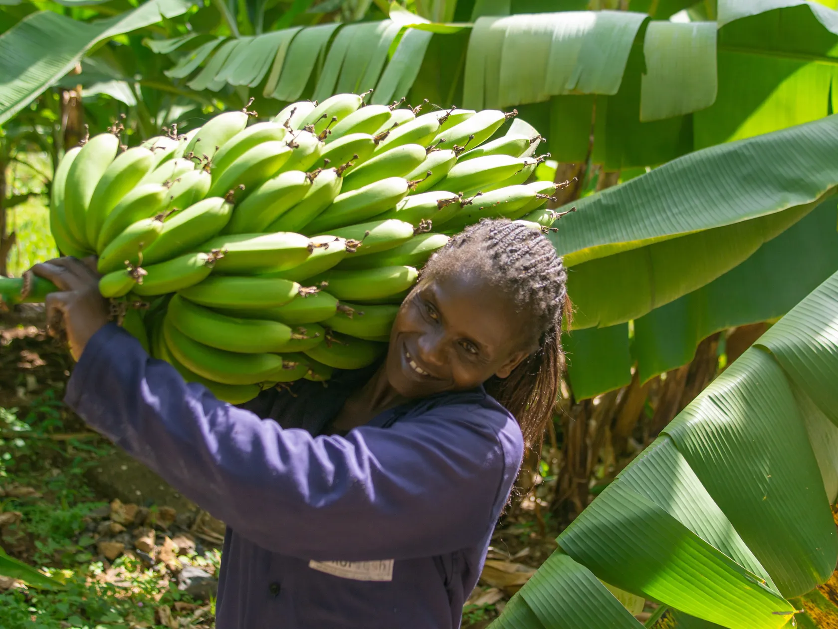 woman carrying bananas