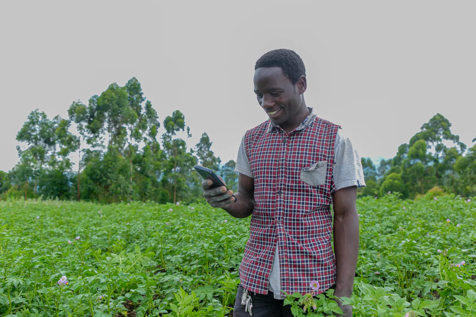 Agri-business innovation