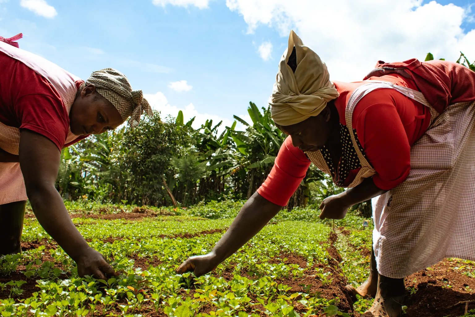 two women on their farm