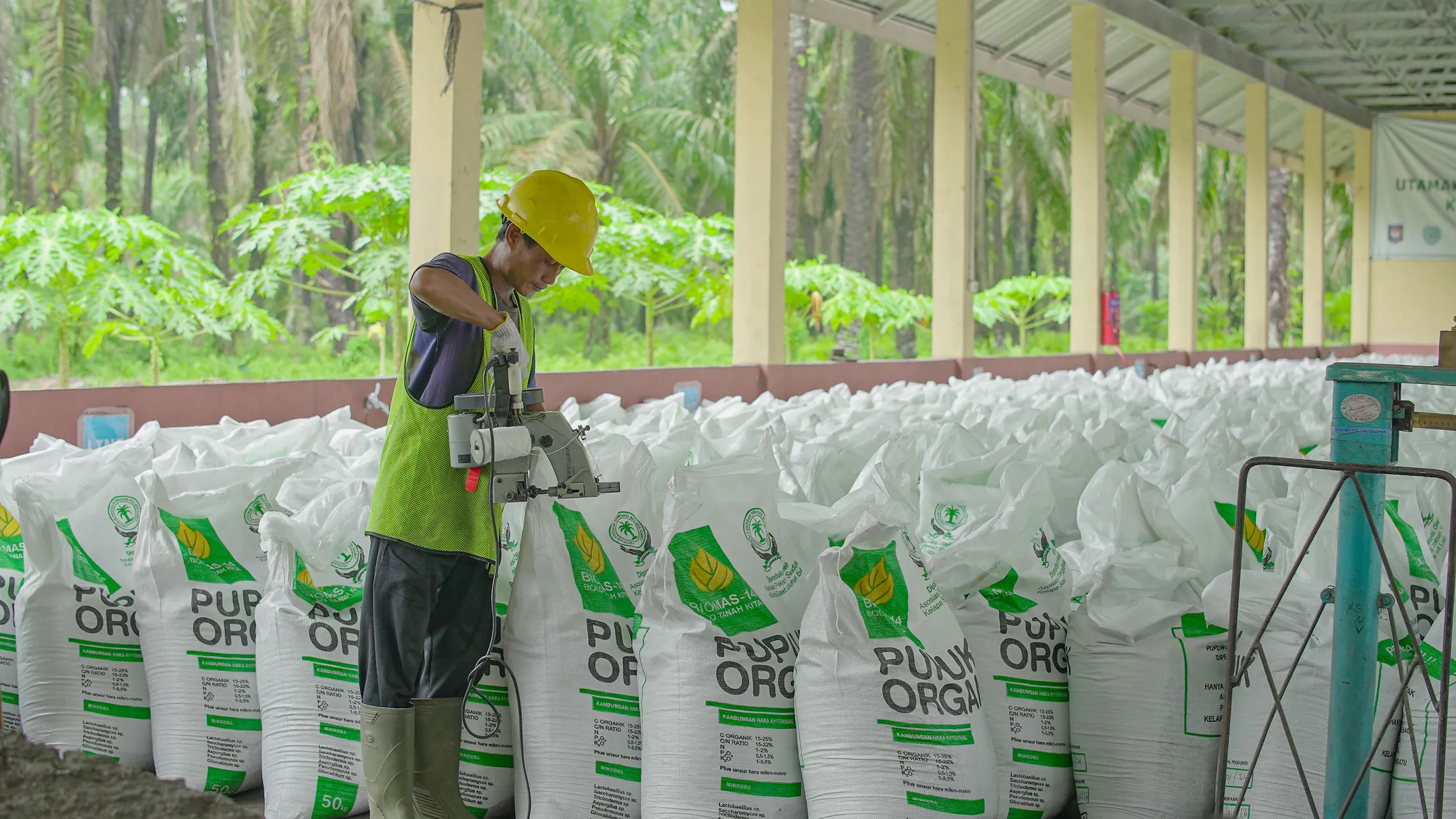 Palm oil farmer