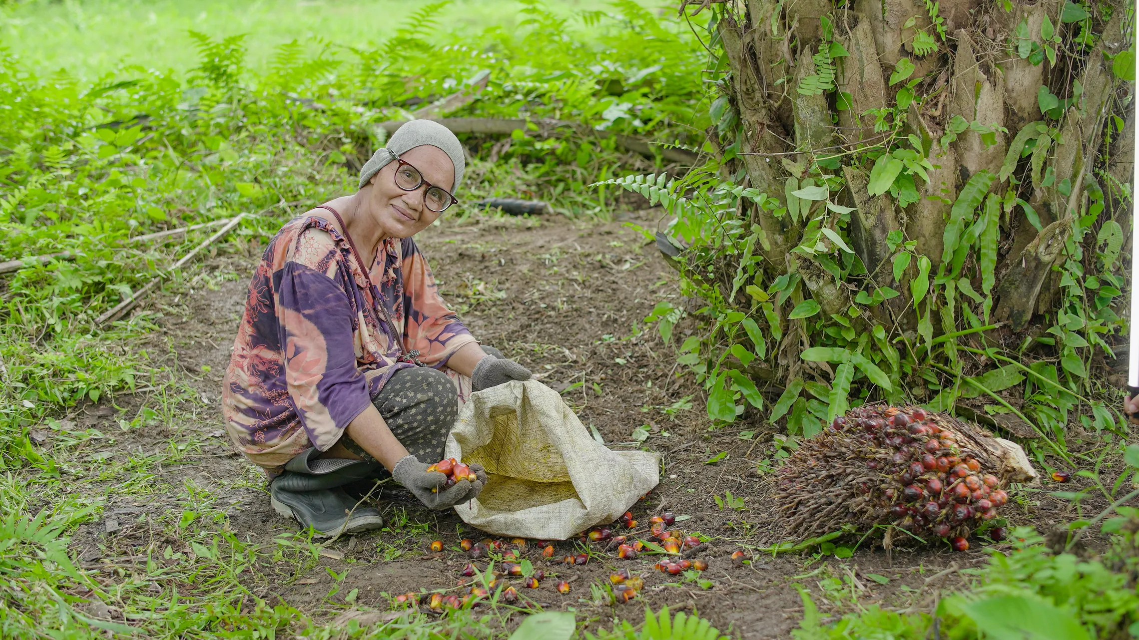 Palm oil farmer