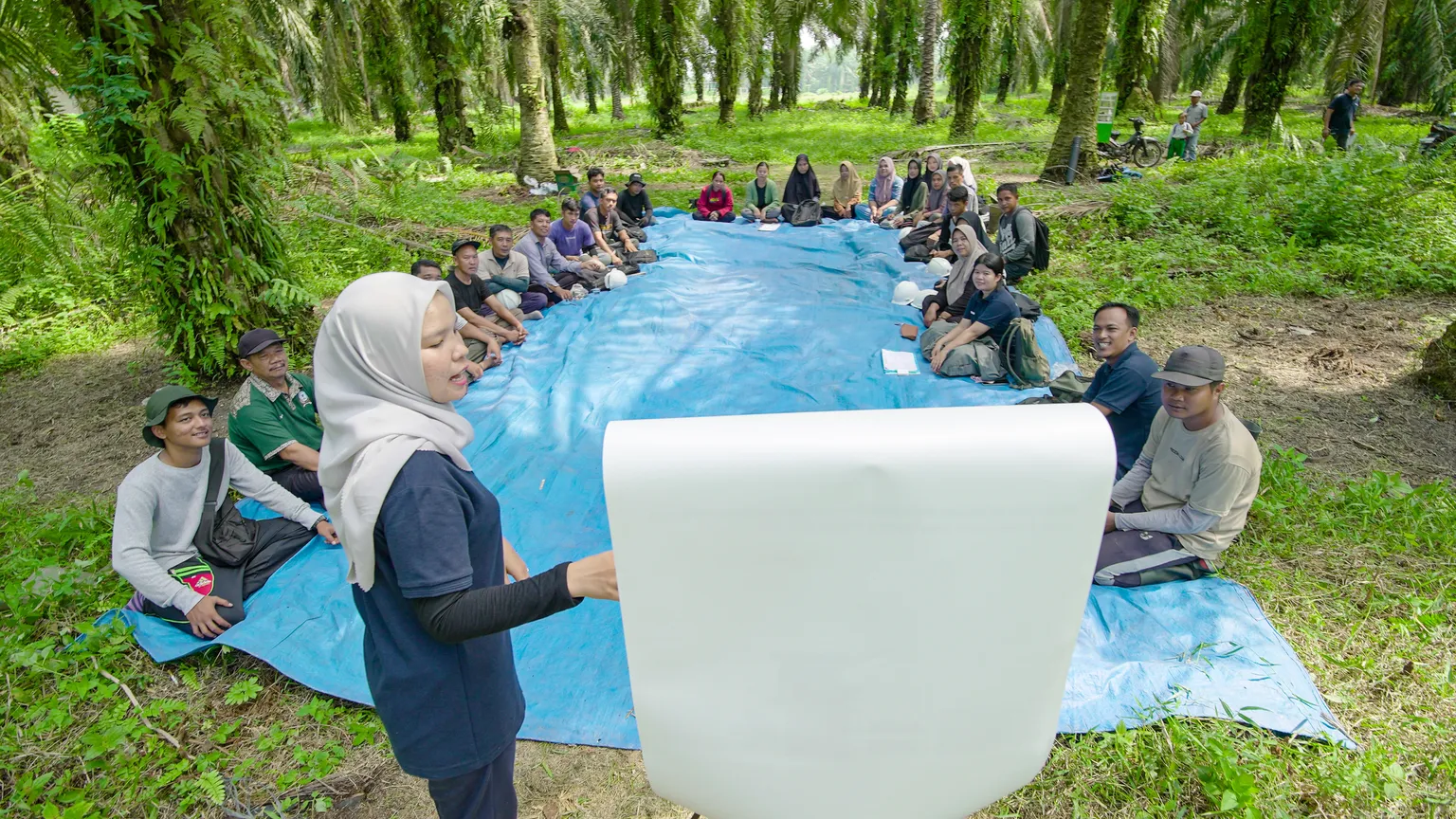 Palm oil farmers