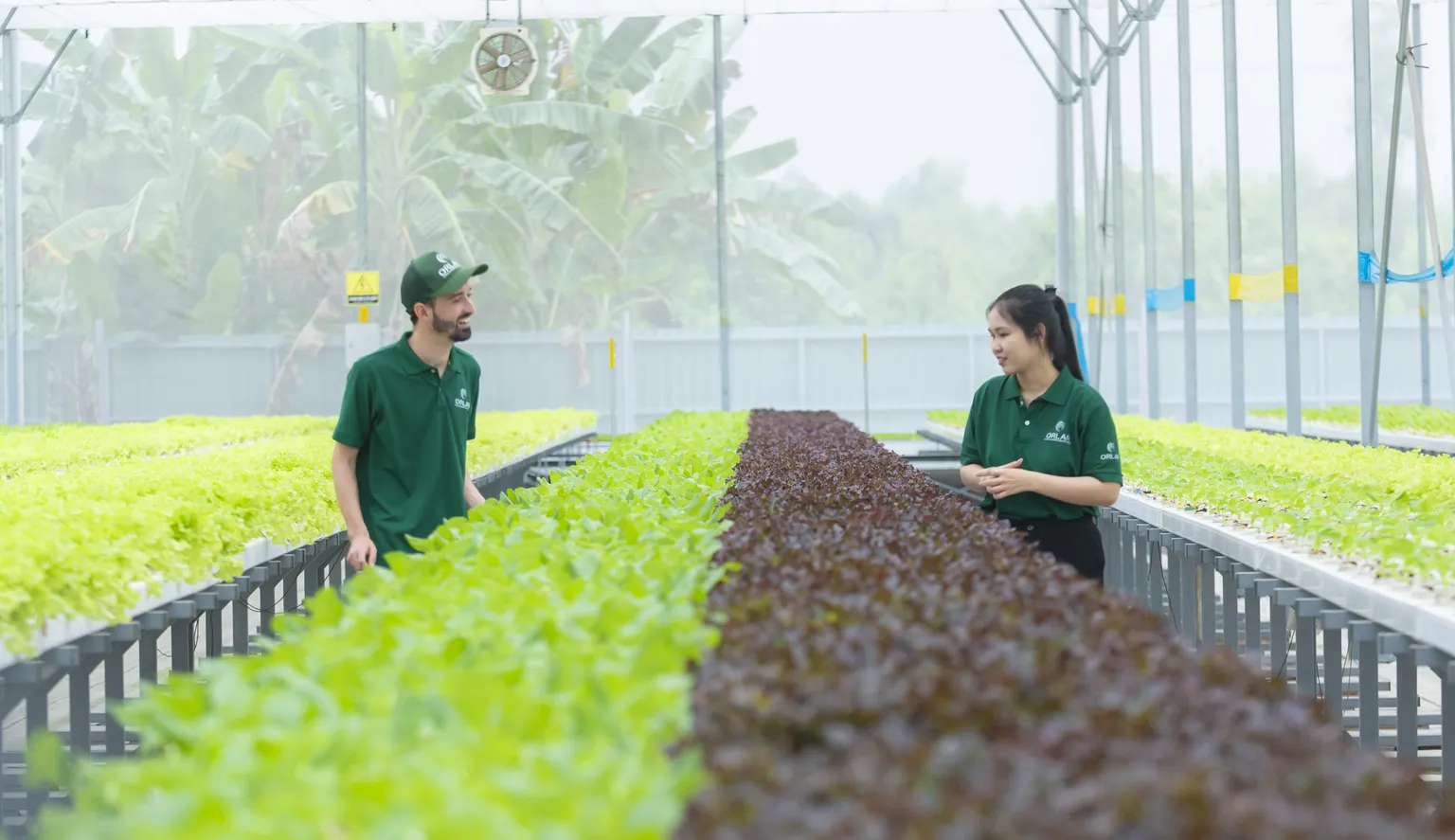 Orlar DFCD supported business in Vietnam