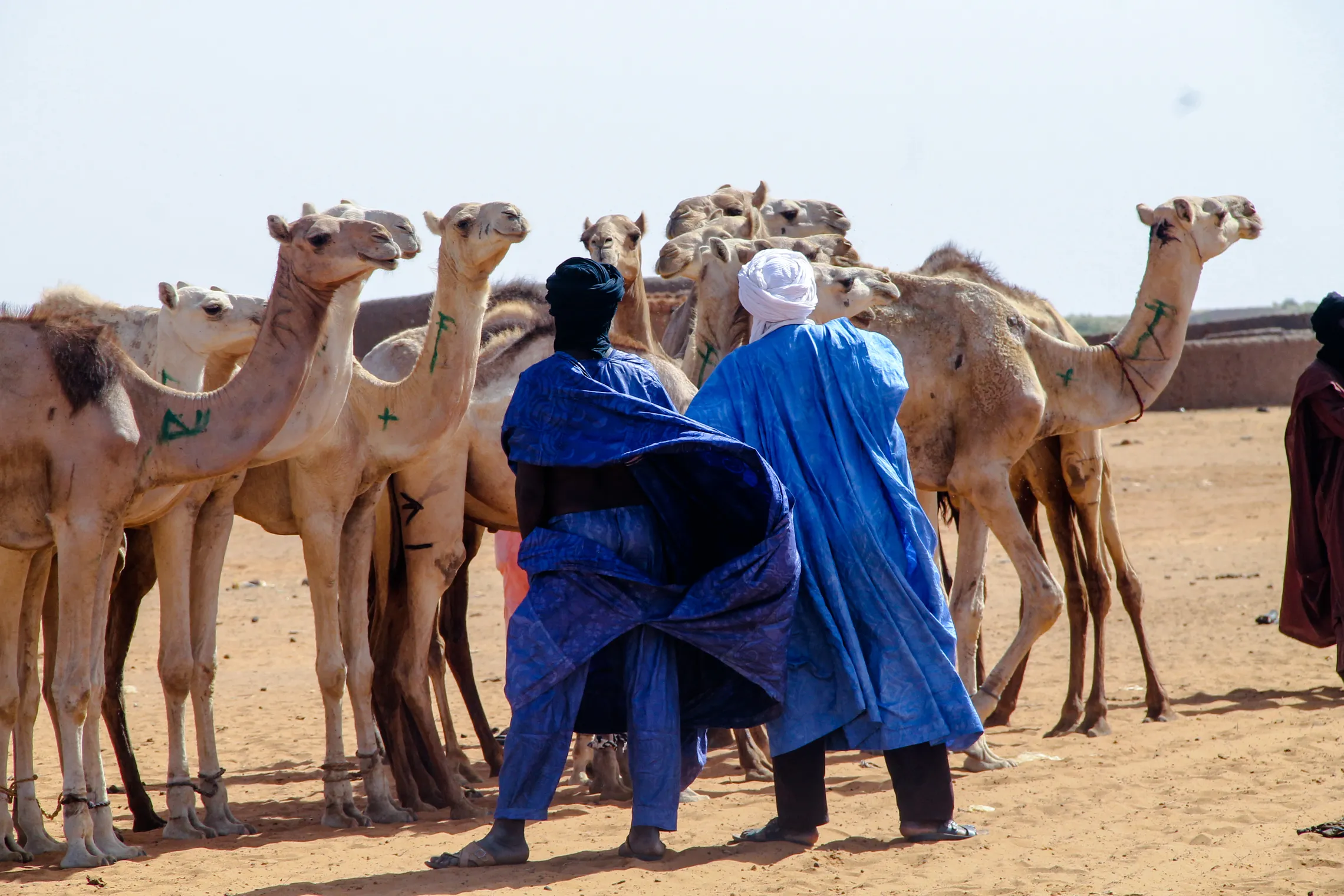 Sahel region