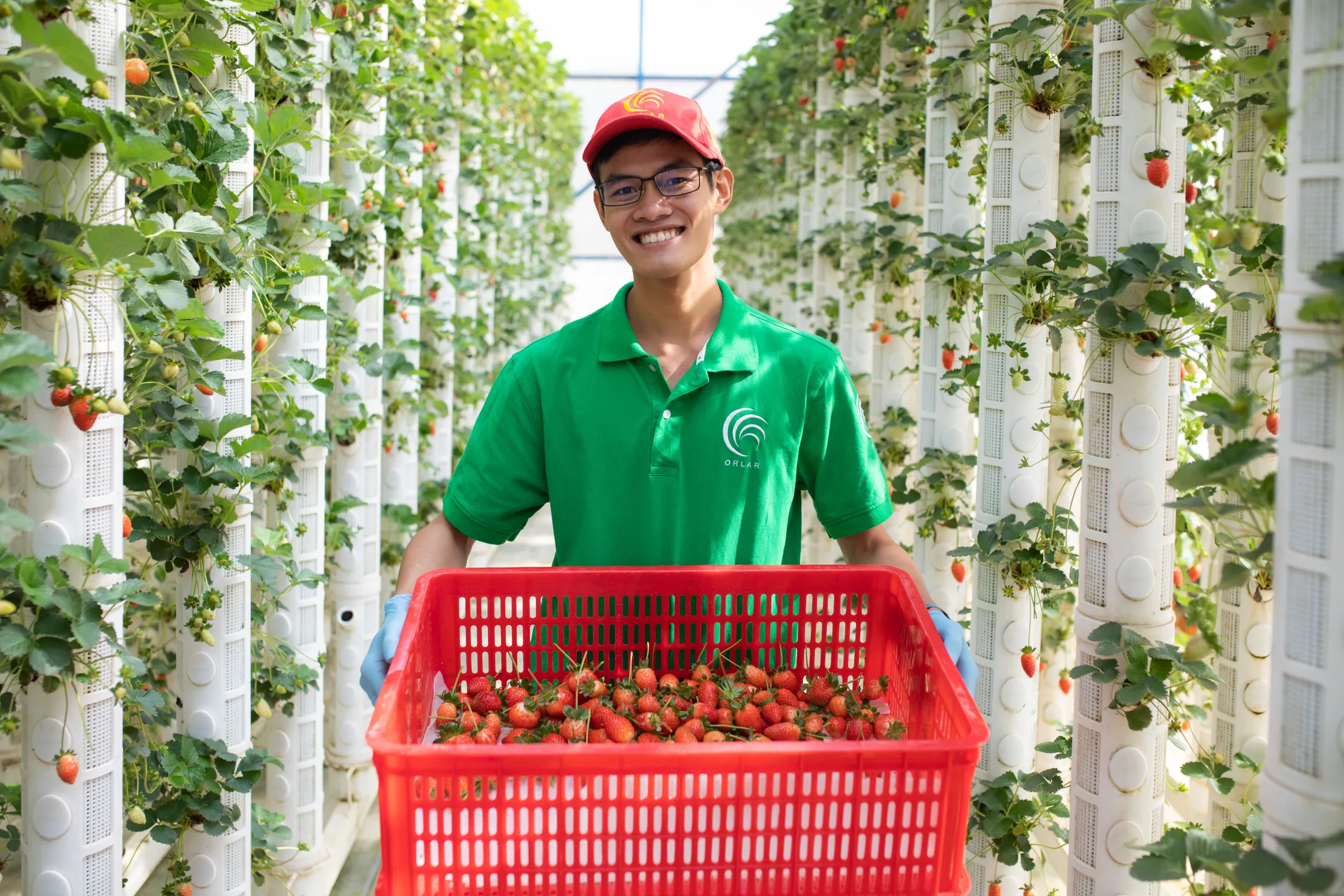 Orlar DFCD supported business in Vietnam