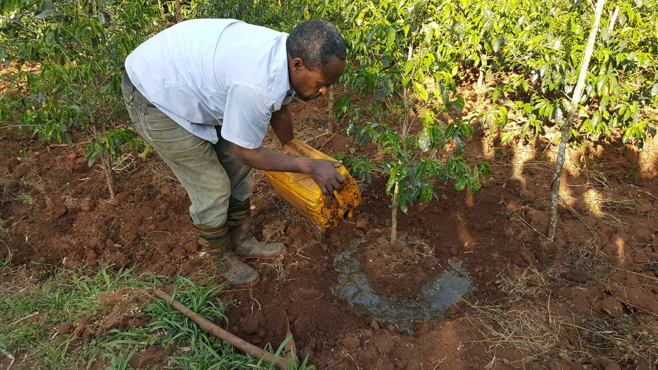 Bioslurry application in Ethiopia