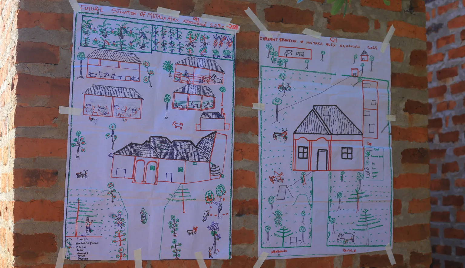 Two hand-drawn posters on a brick wall depict future and current village layouts with houses, trees, and paths, sketched in colorful markers.