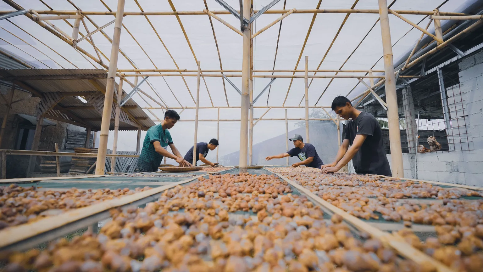 Preparation of seeds in PAHALA implementation area