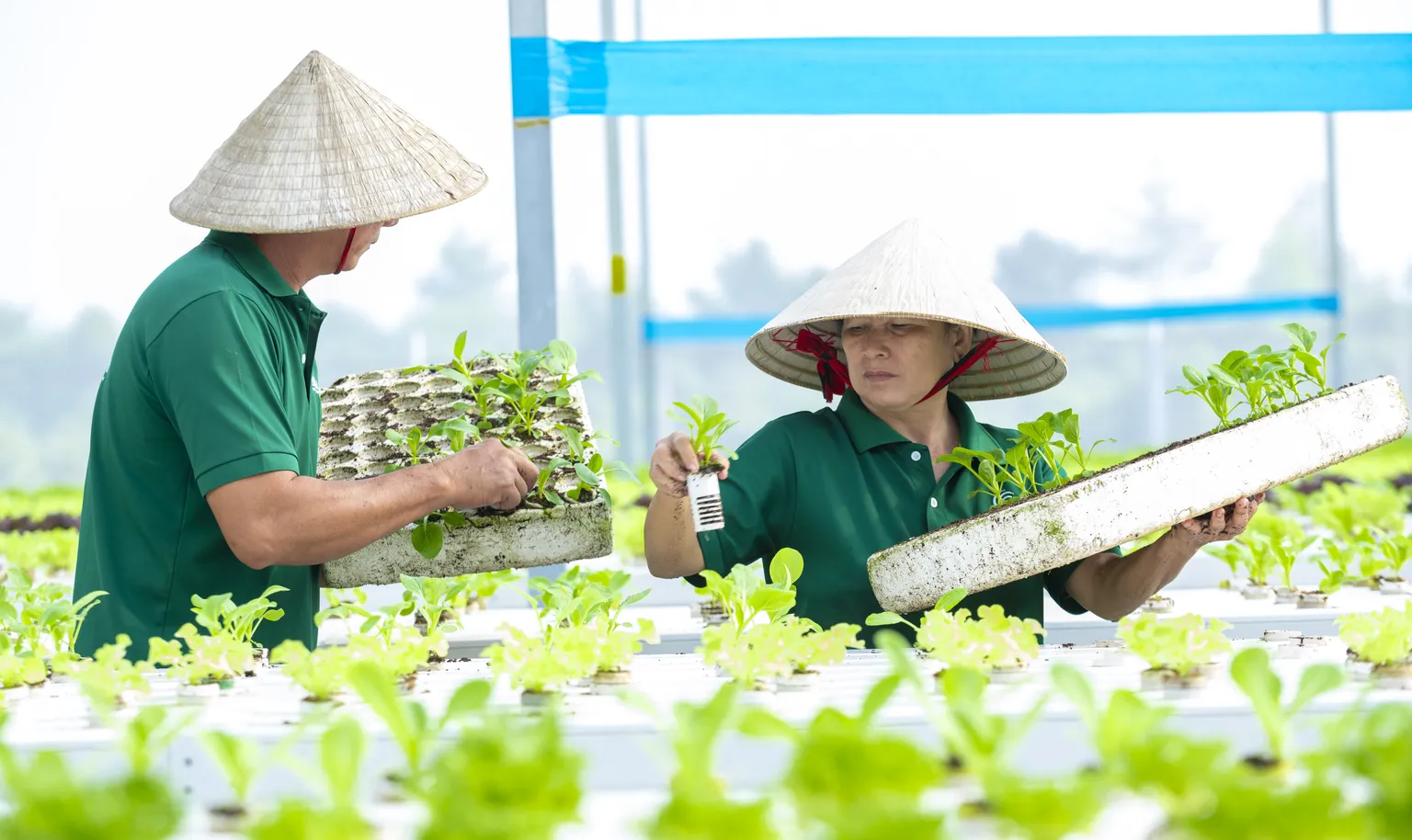 Orlar DFCD supported business in Vietnam