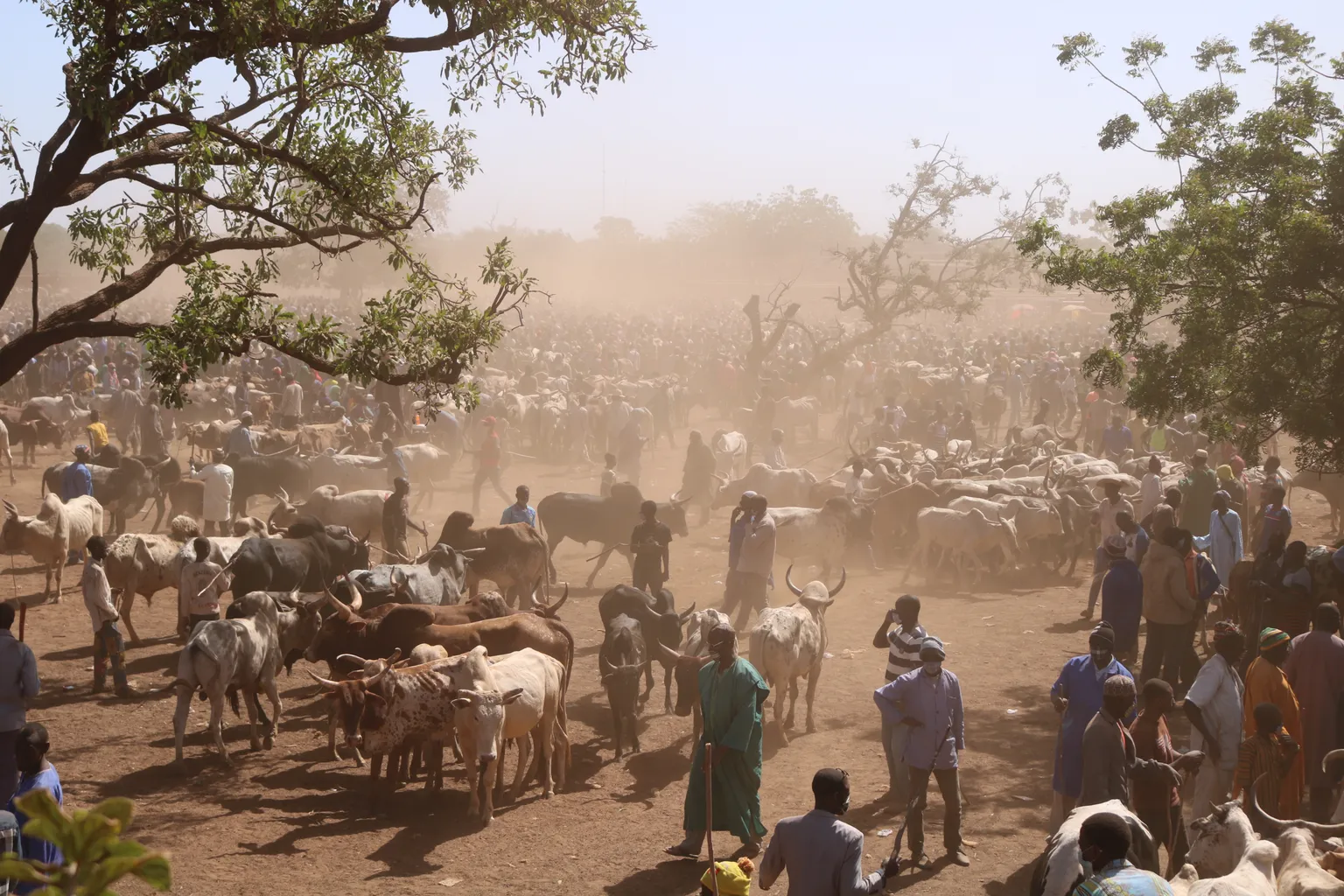 agropastoralists