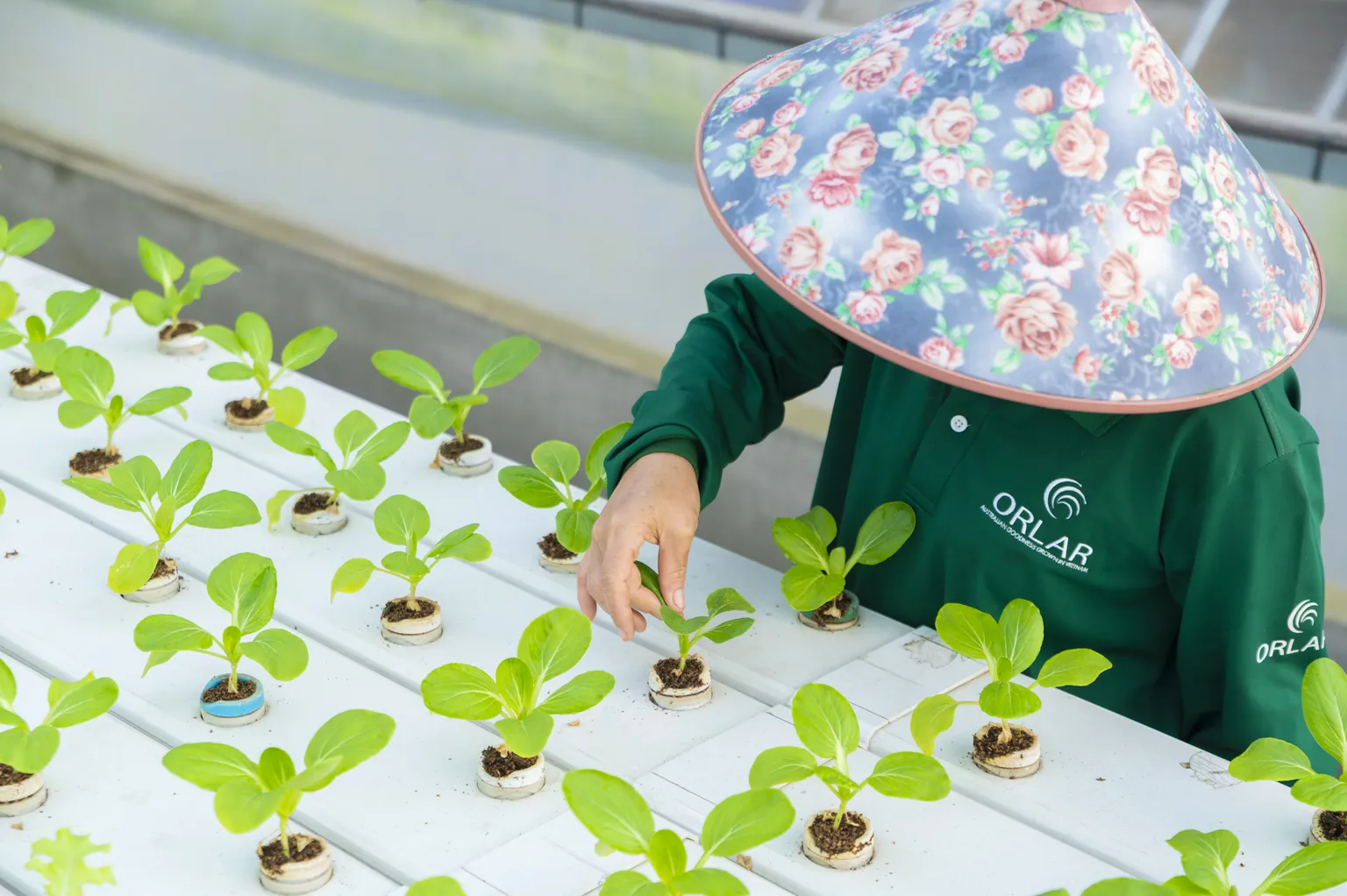 Orlar DFCD supported business in Vietnam