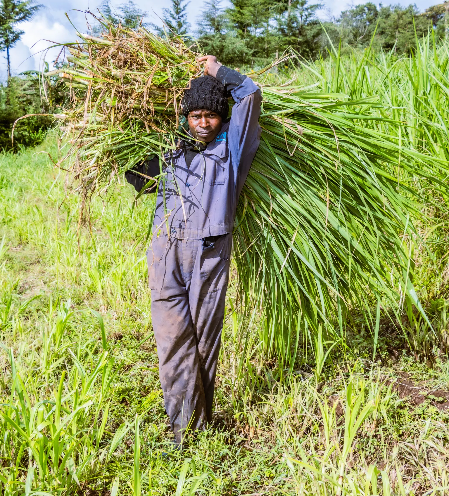 A dairy farmer in Mau