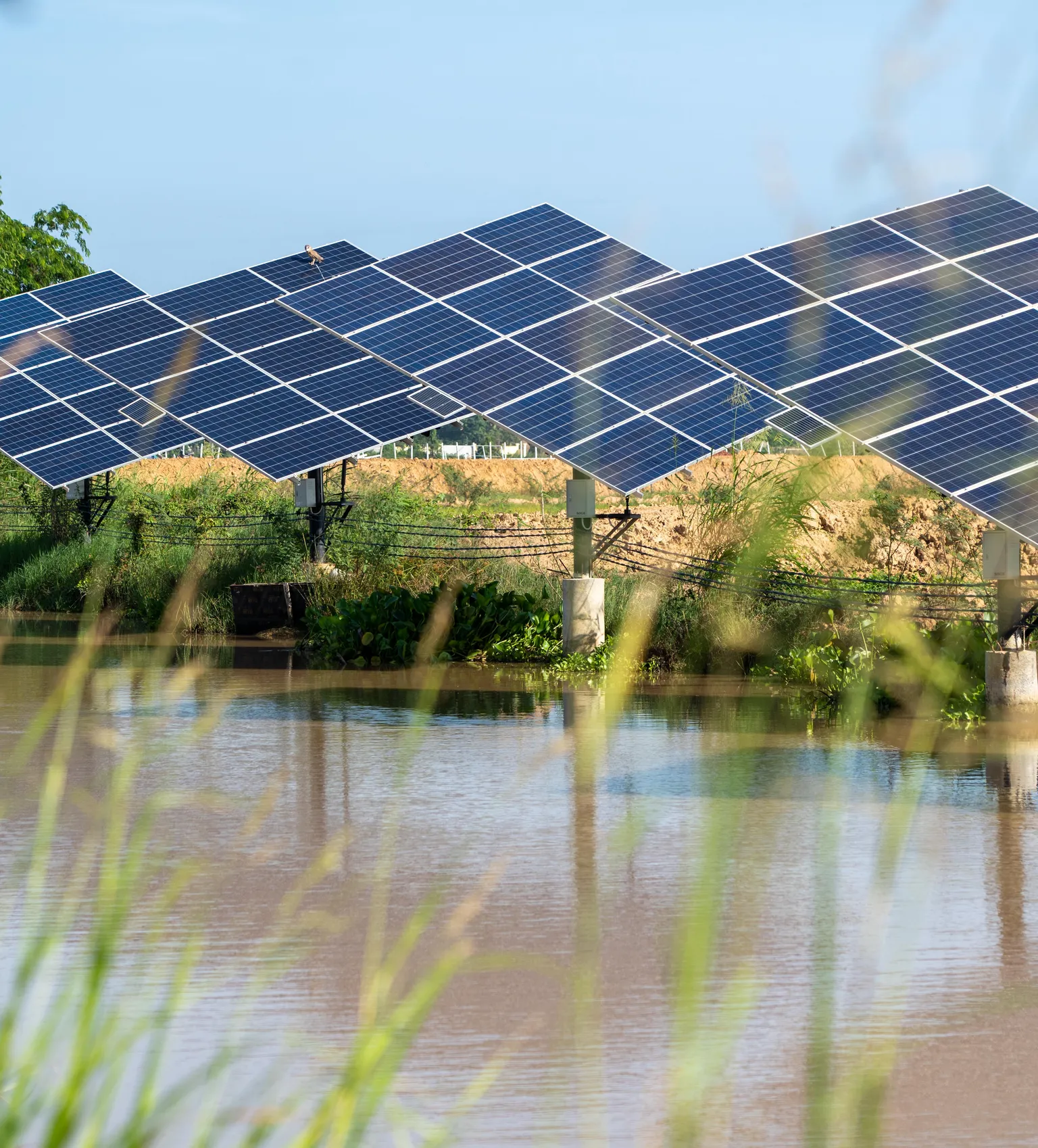 Solar panels above a reflective water body, surrounded by greenery under a clear blue sky.
