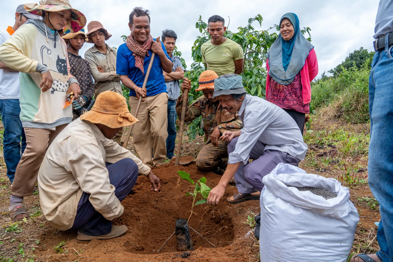 A group of people gather around a small tree being planted in a hole, surrounded by soil and vegetation, under a cloudy sky.
