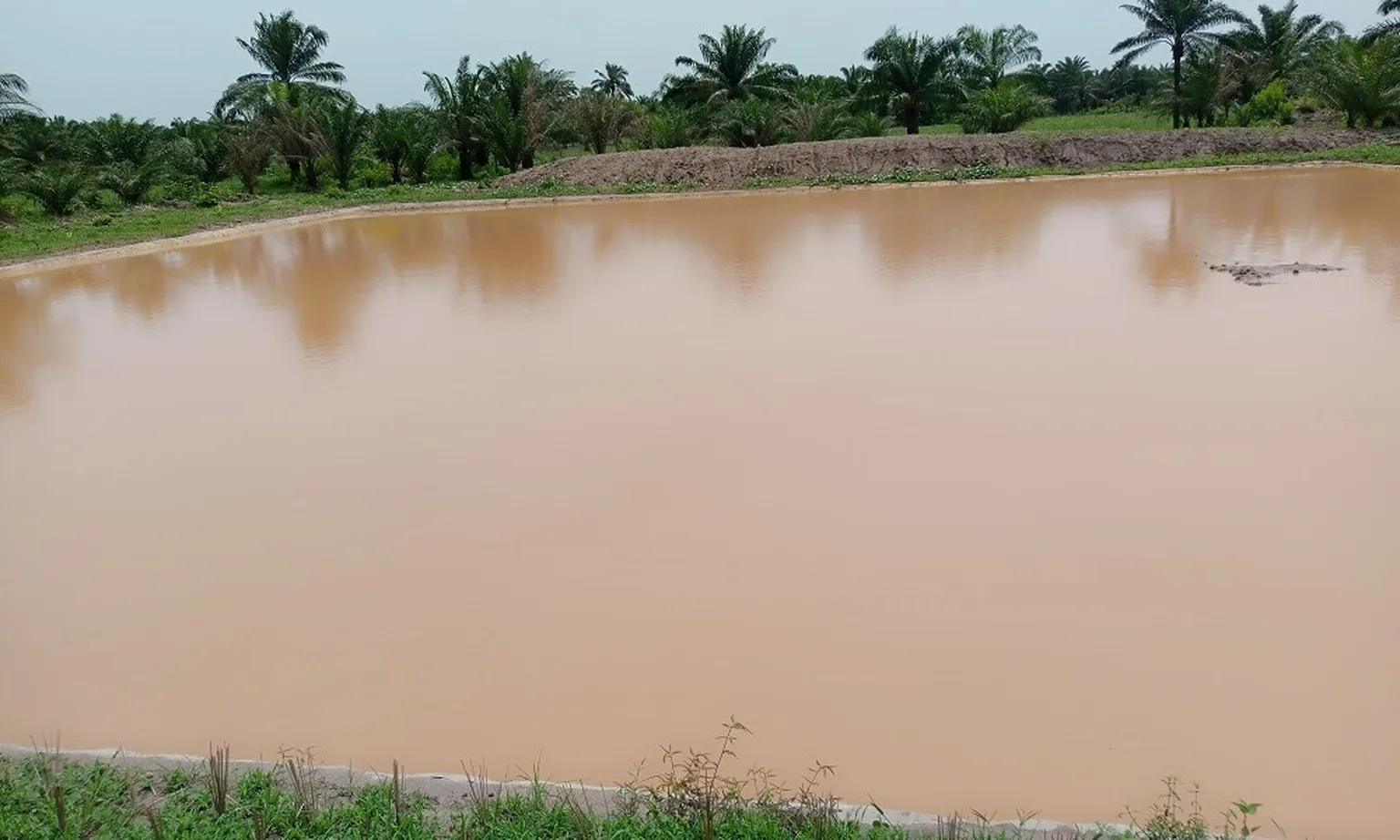 Pond deepening