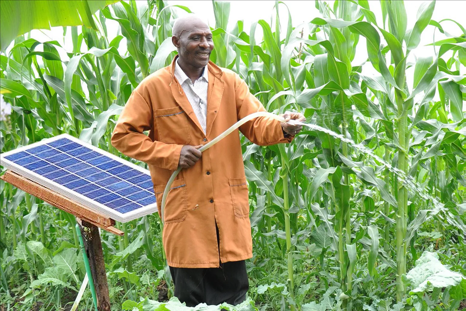 Solar irrigation 