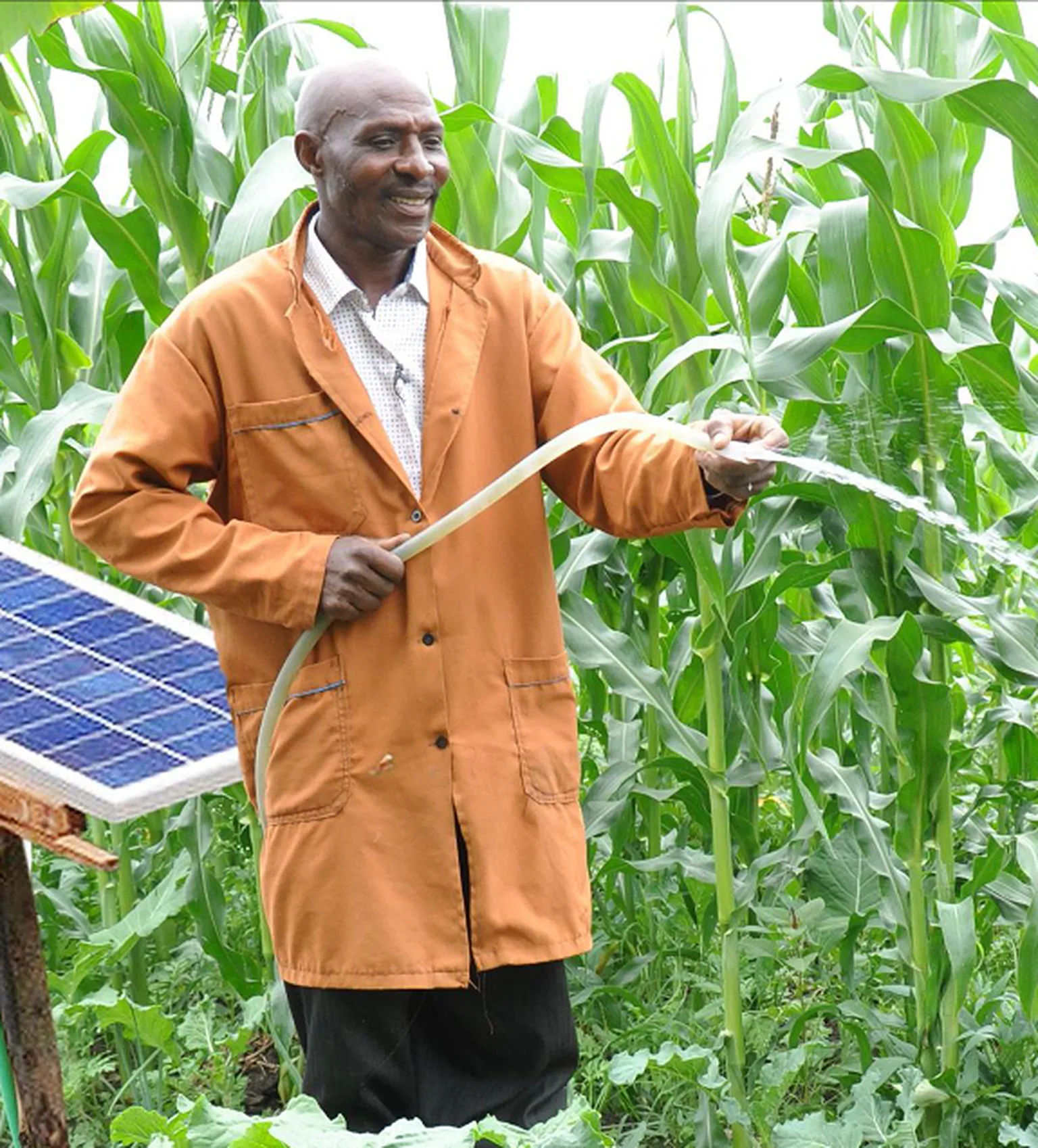 Solar irrigation 