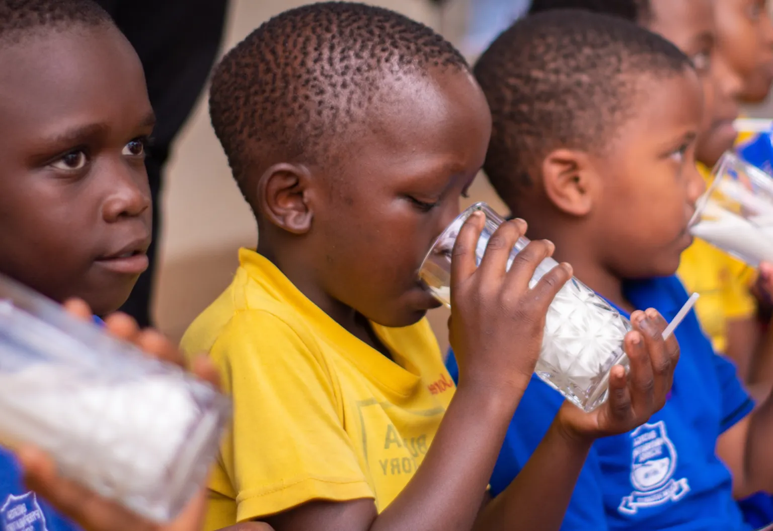 School feeding 2