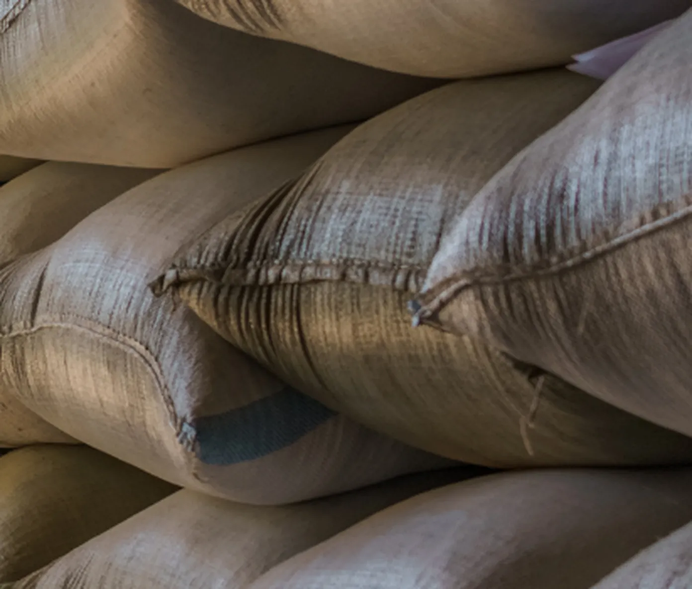 Promoting integration of renewable energy and energy efficiency in agricultural value chains