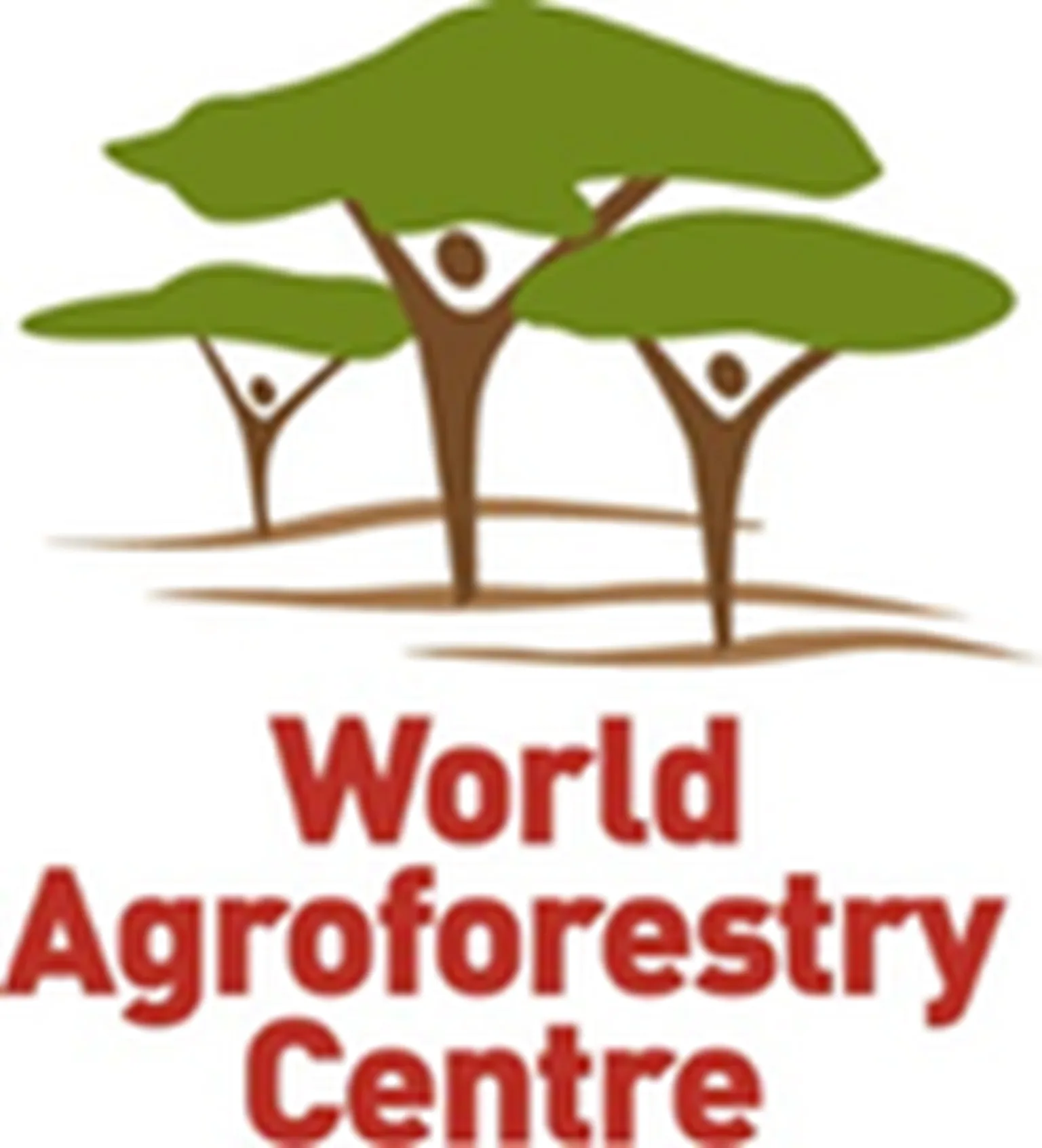 World Agroforestry Centre (ICRAF) logo